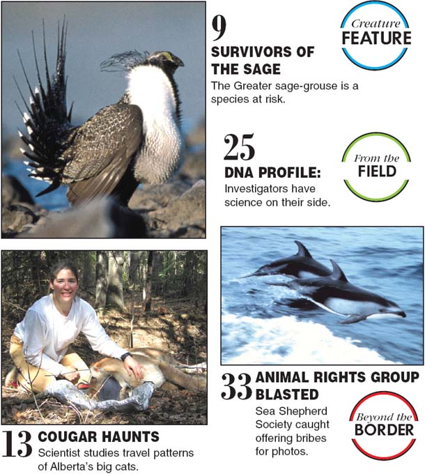 On-line Feature Article: From the Field: DNA PROFILE